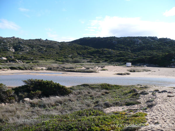 089 Laguna